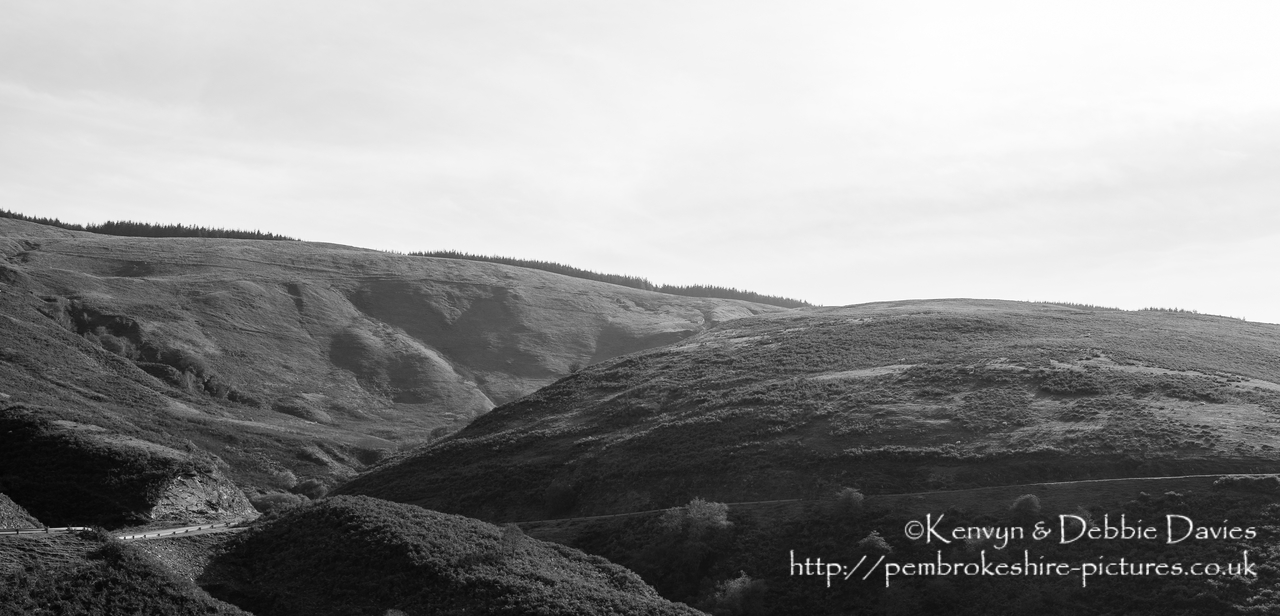 Comments and critique much appreciated.